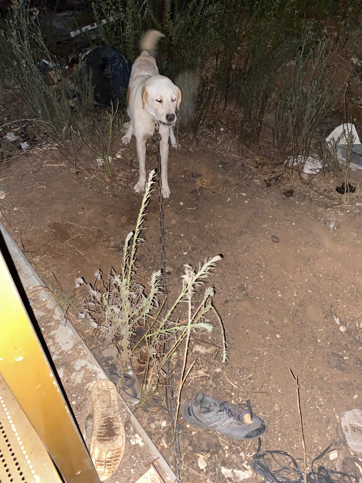 WhatsApp Image 2020-10-19 at 10.41.15 AM.jpeg.jpeg